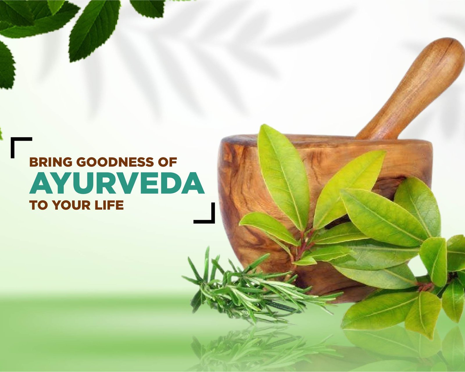 dudhwa herbs-02